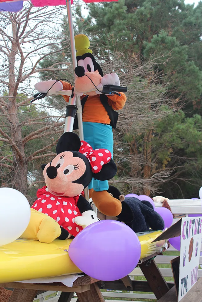 mini mouse and goofy