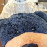 gray bear stuffed animal