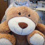 brown bear stuffed animal