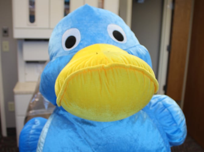 blue duck stuffed animal