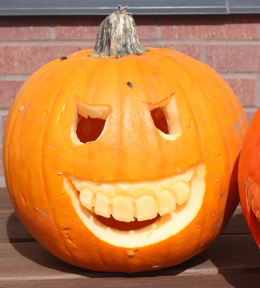 jack o lantern